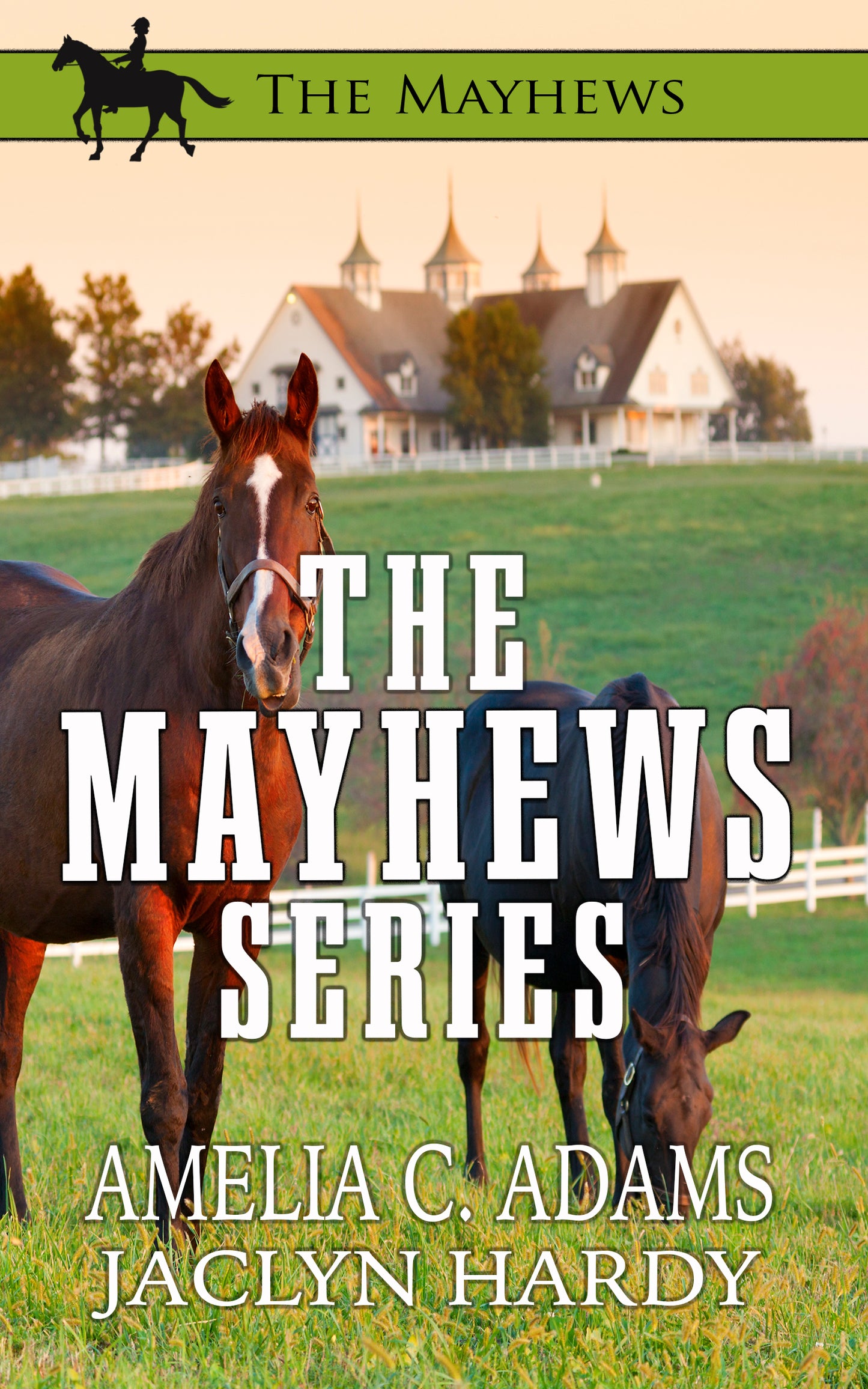 The Mayhews Trilogy